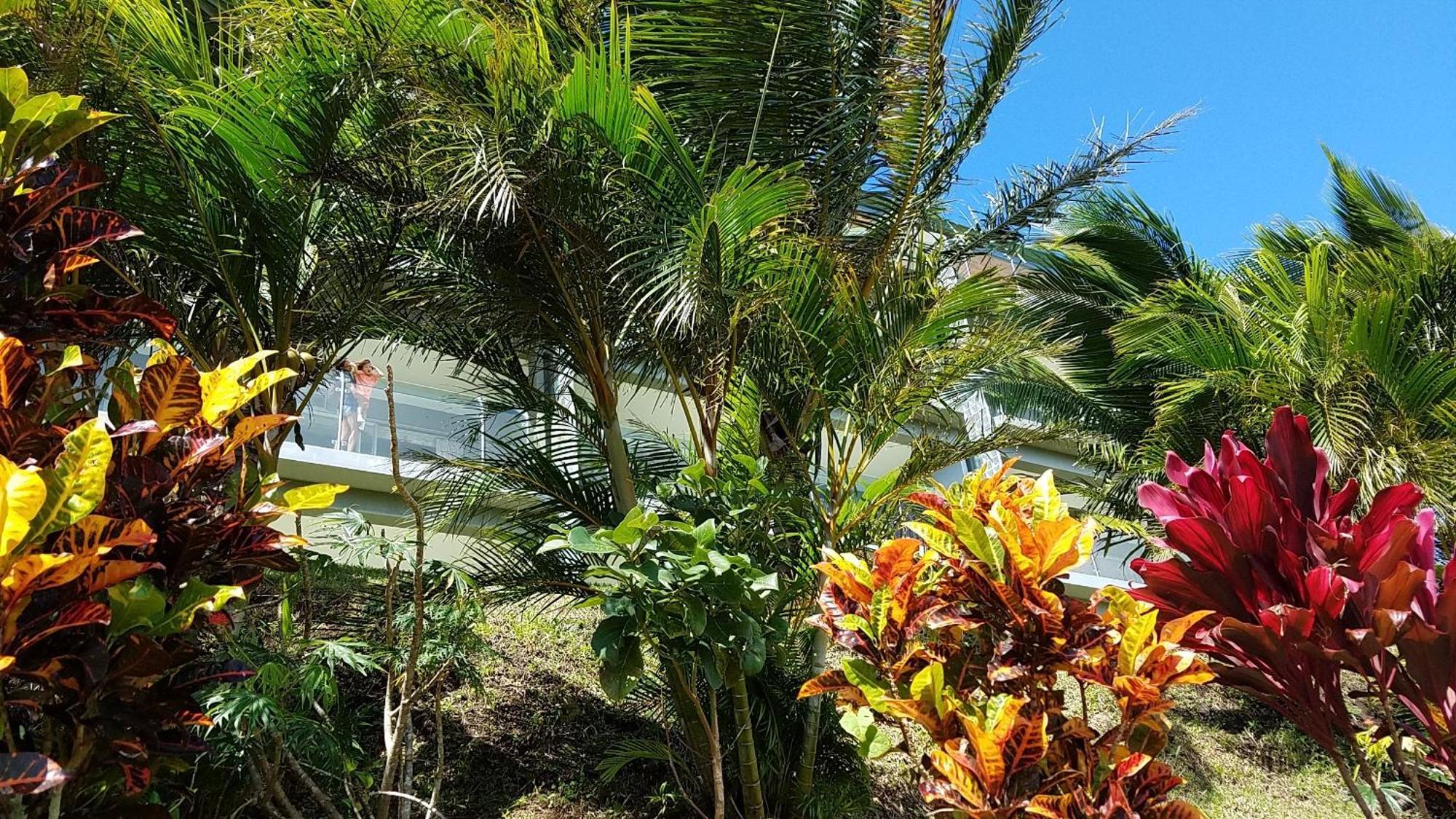 Lake Arenal Condos Naranjos Agrios Ngoại thất bức ảnh